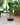 luxury home fragrance with incense burners